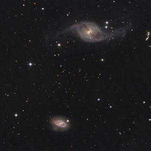 Meet your Posher, Gia